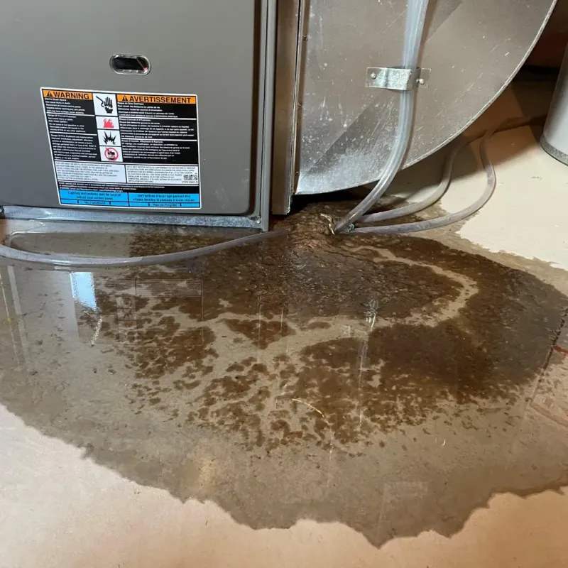 Appliance Leak Cleanup in Tehachapi, CA